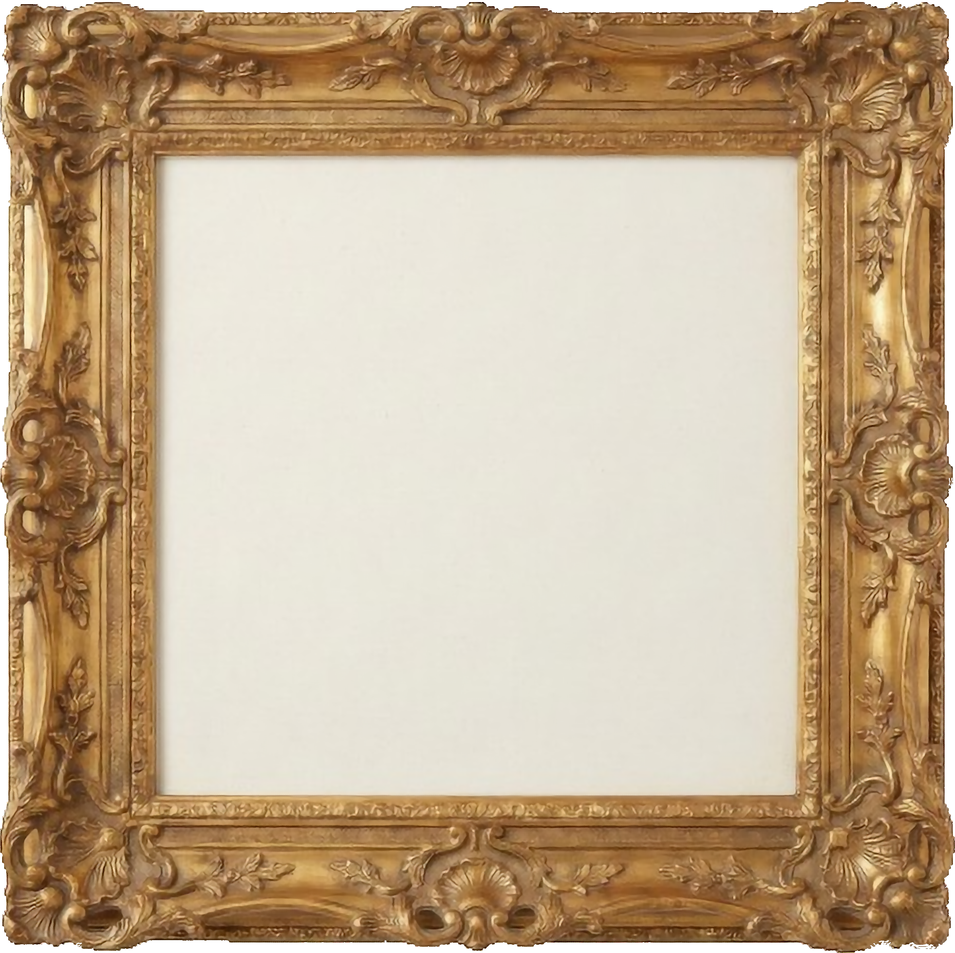 Art Allergy Registry Frame